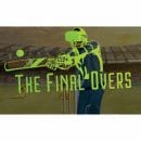 Free The Final Overs VR Game