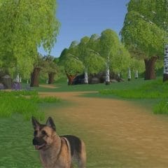Free Dogs VR Game
