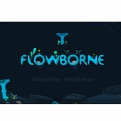 Free Breathing Meditation VR Game