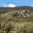 Free Entry to a Nature Reserve