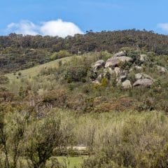 Free Entry to a Nature Reserve