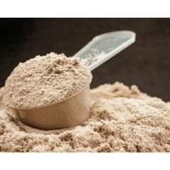 Free Sample of Protein Powder